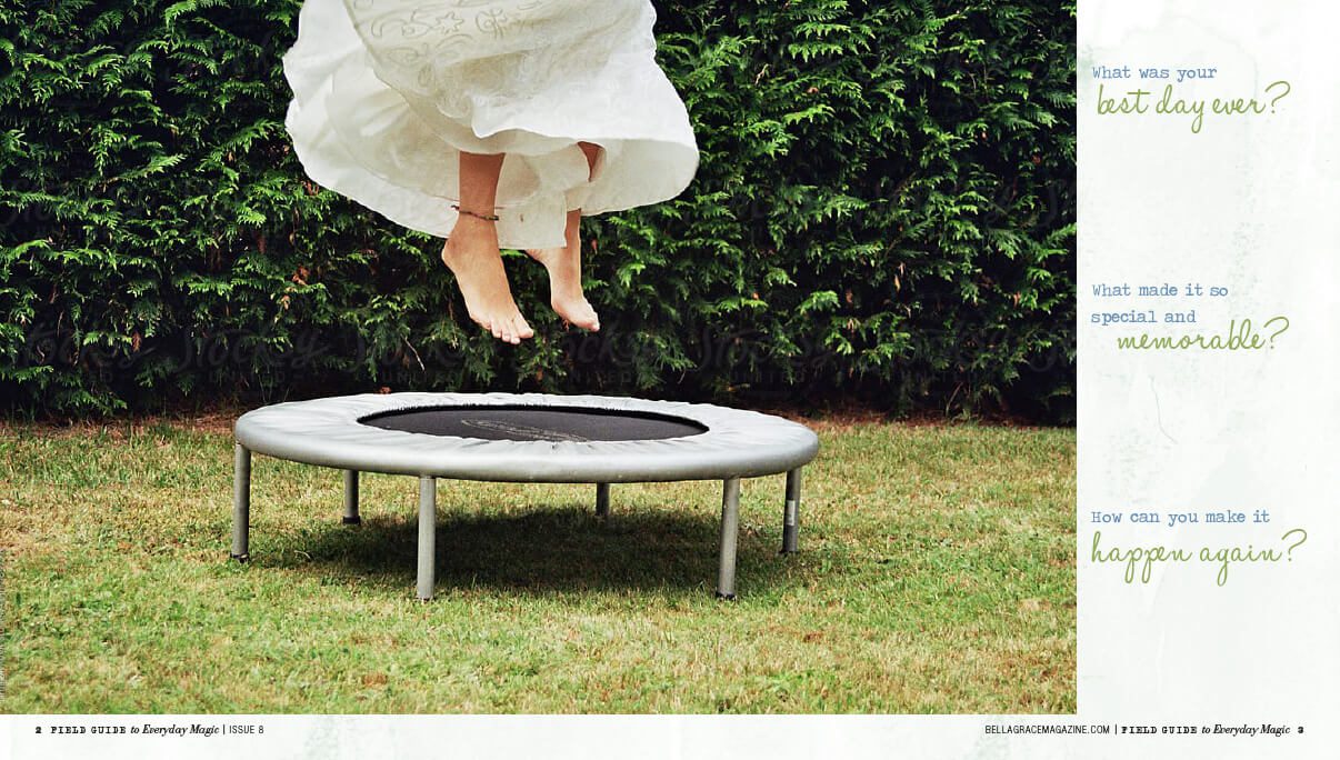 Field Guide to Everyday Magic