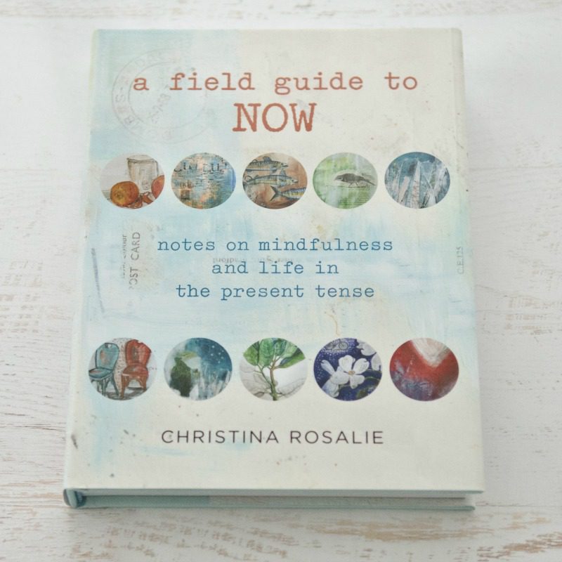 800_5GPP-FIELD-A-Field-Guide-To-Now