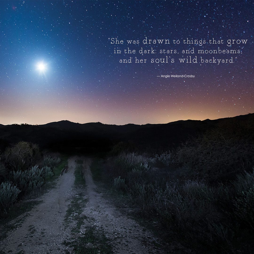 Bella Grace Issue 35 | Free Summer Wallpapers