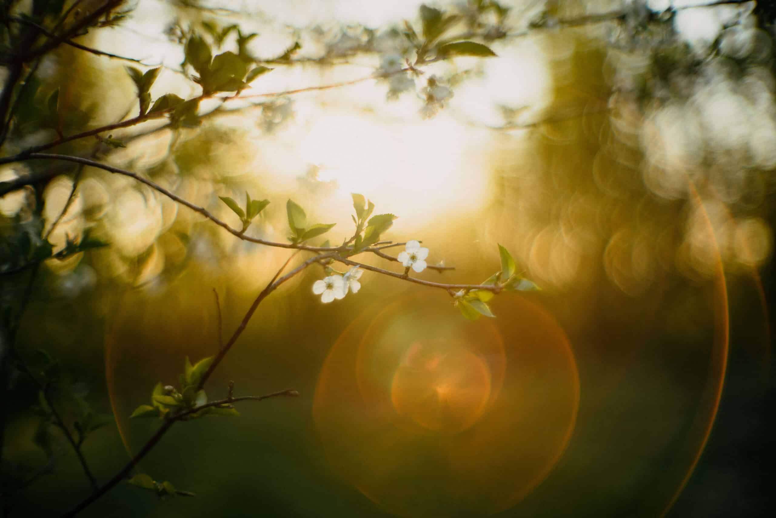 Bella Grace Magazine