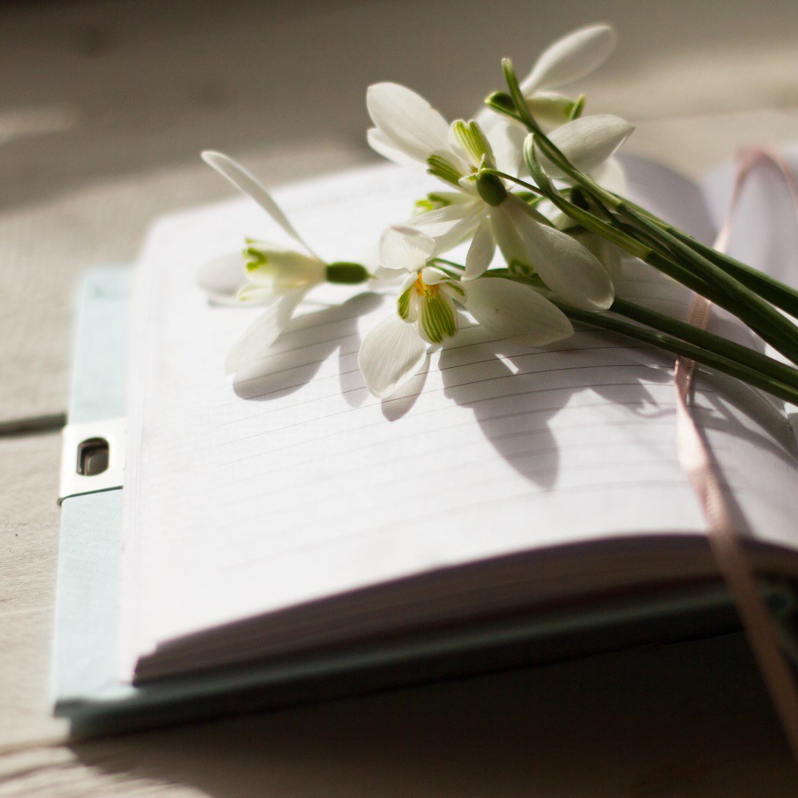 Enjoyable Daily Journaling