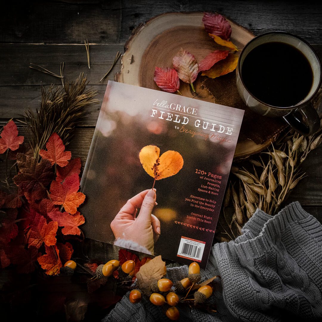 Field Guide to Everyday Magic