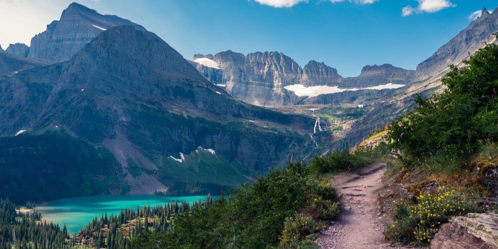 Forest Bathing in Glacier National Park