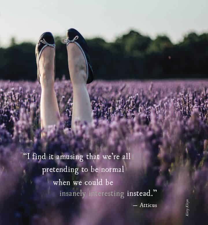 A Moment with Field Guide to Everyday Magic Issue 5