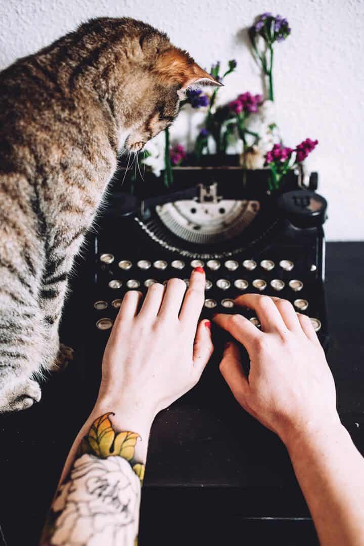 A Moment with Field Guide to Everyday Magic Issue 5