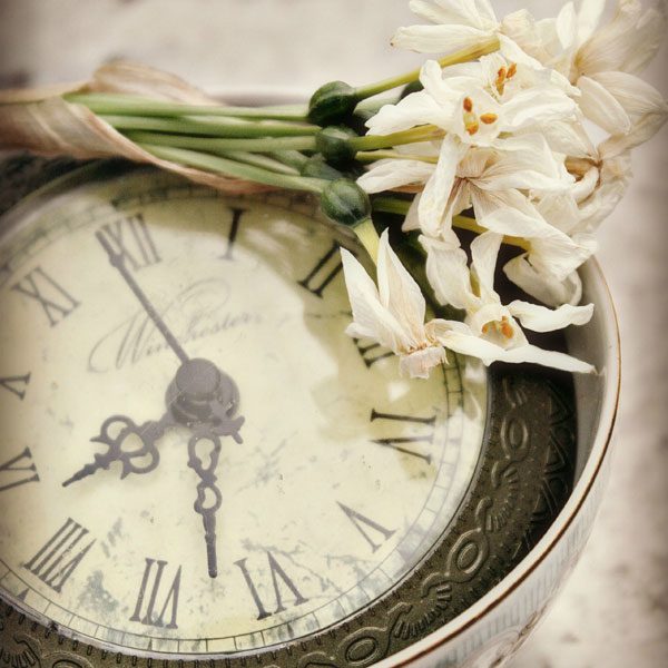 Grace Notes | An Ode to Tea