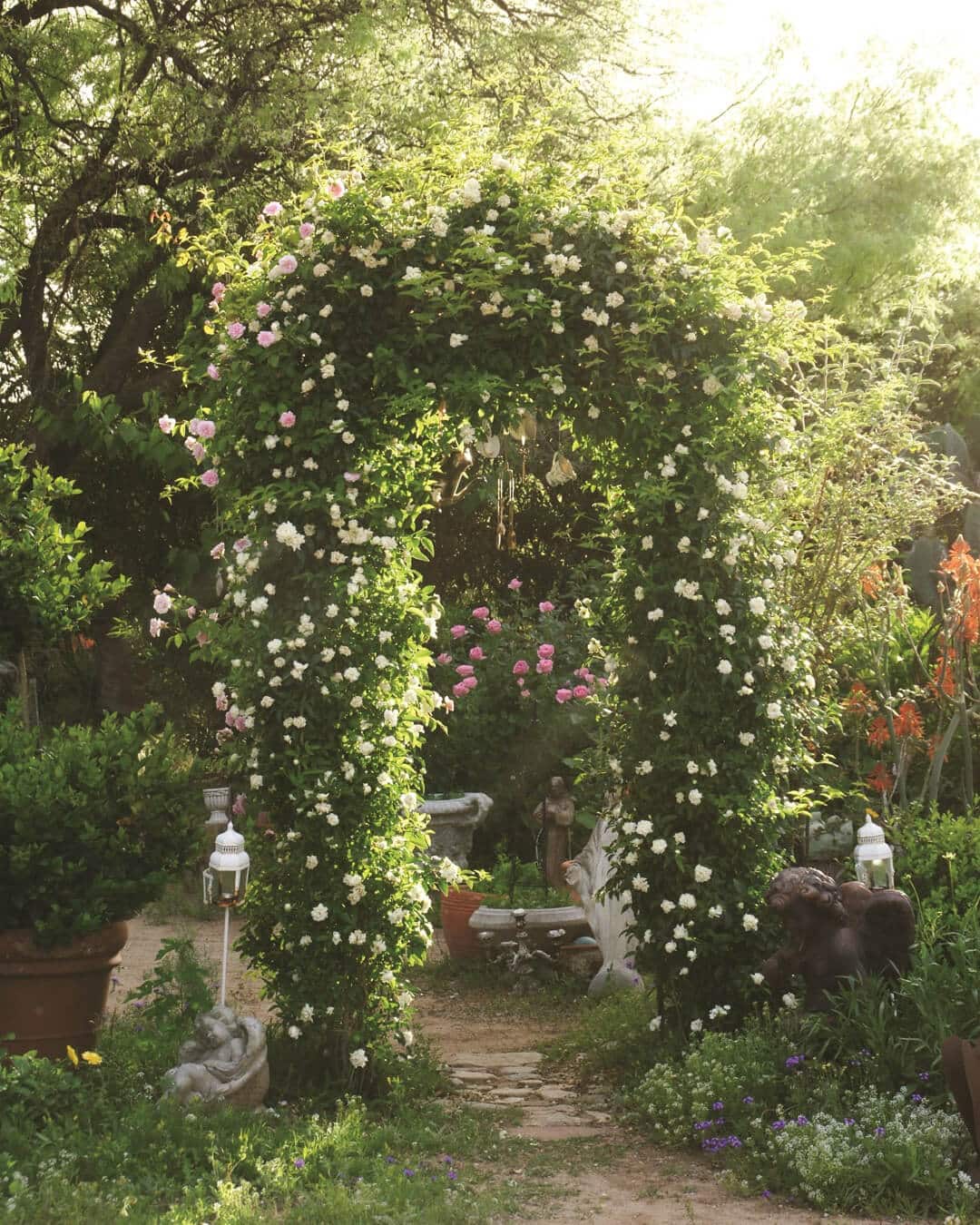 gardening inspiration