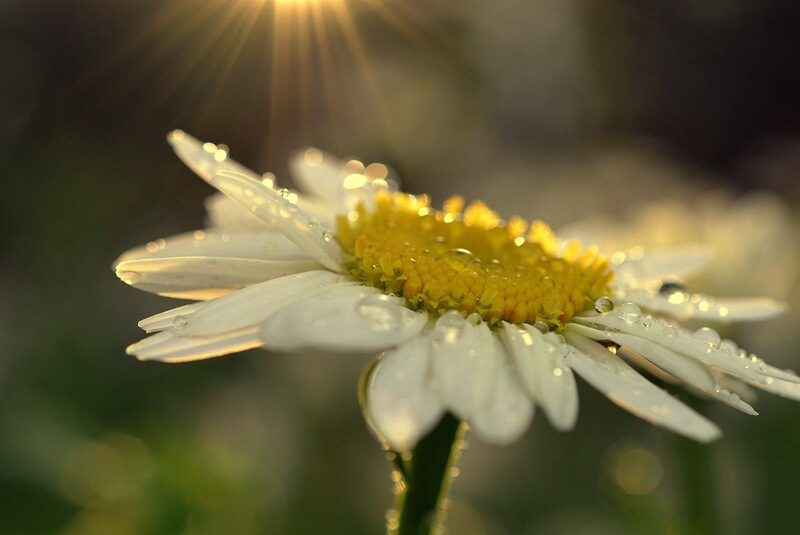 Meet Yourself With Kindness