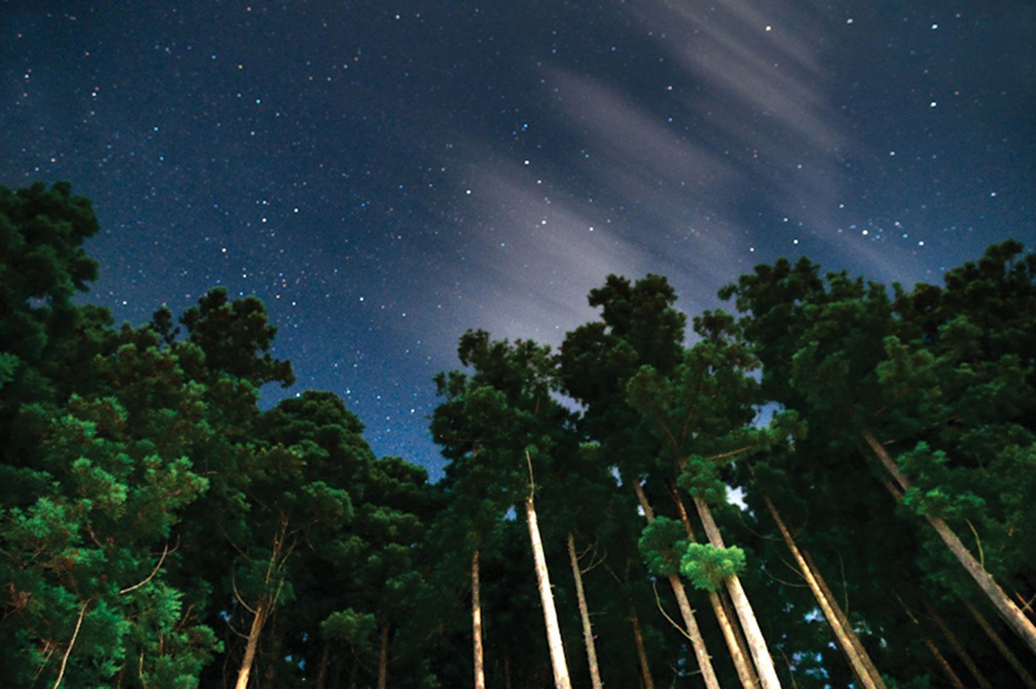 Grace Notes | Befriending the Darkness