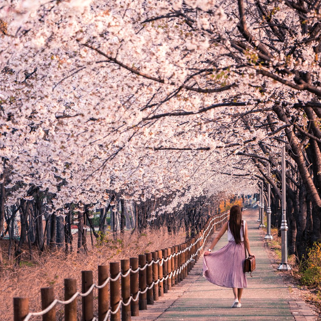 The Healing Power of Nature