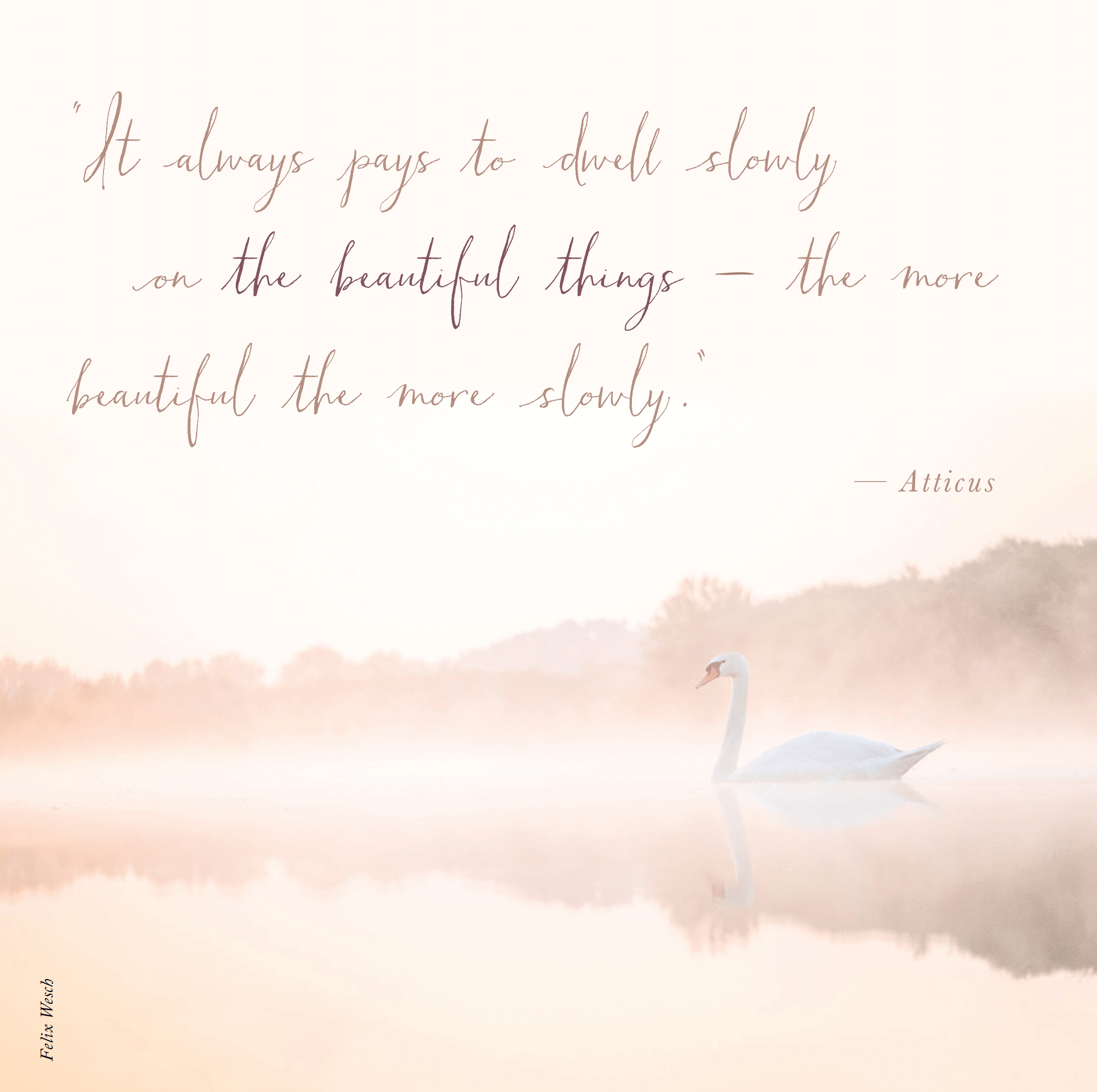 12 Inspiring Quotes to Slow Down and Savor Life