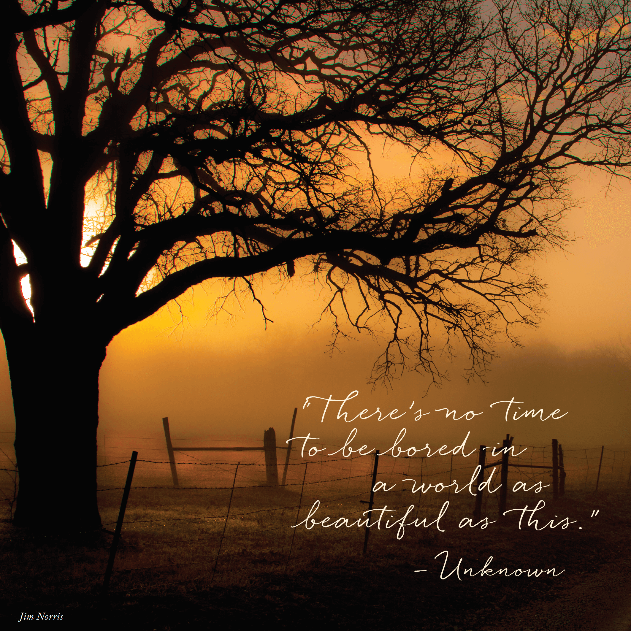 12 Inspiring Quotes to Slow Down and Savor Life