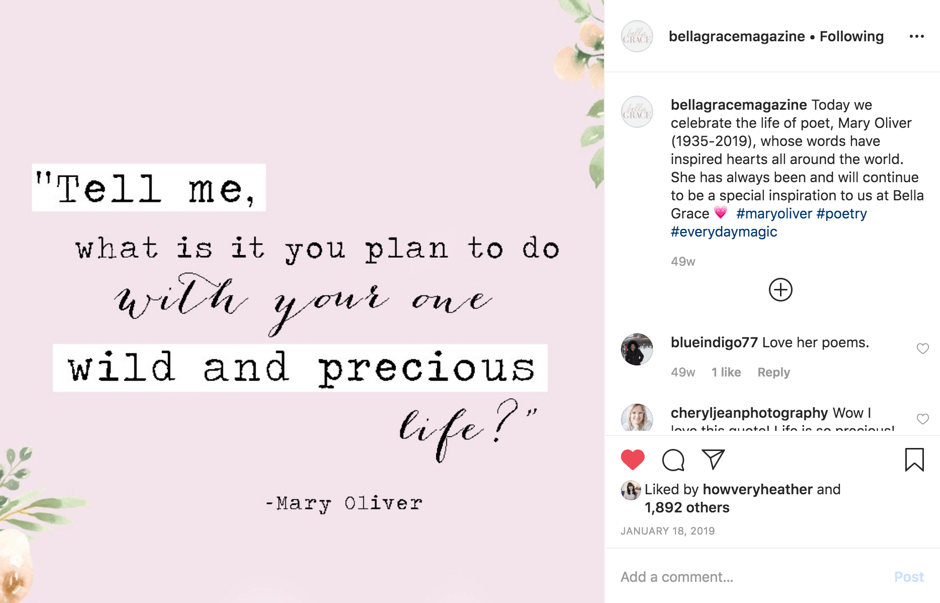 Best of 2019: Memorable Moments from Bella Grace's Social Media