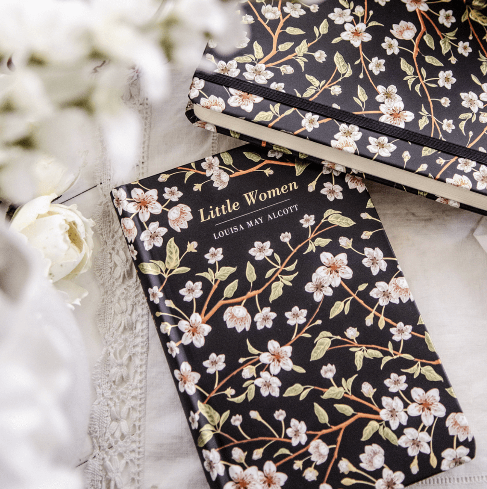 Louisa May Alcott Quotes