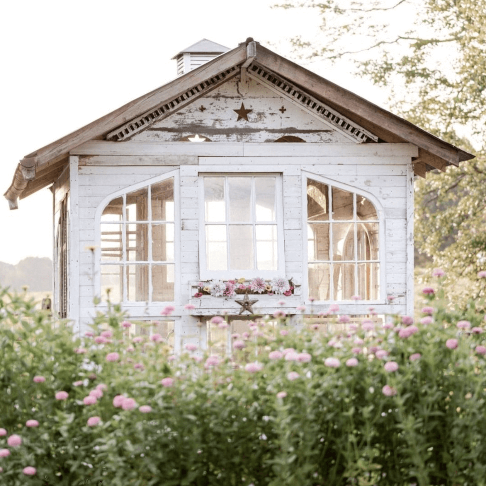 gardening inspiration